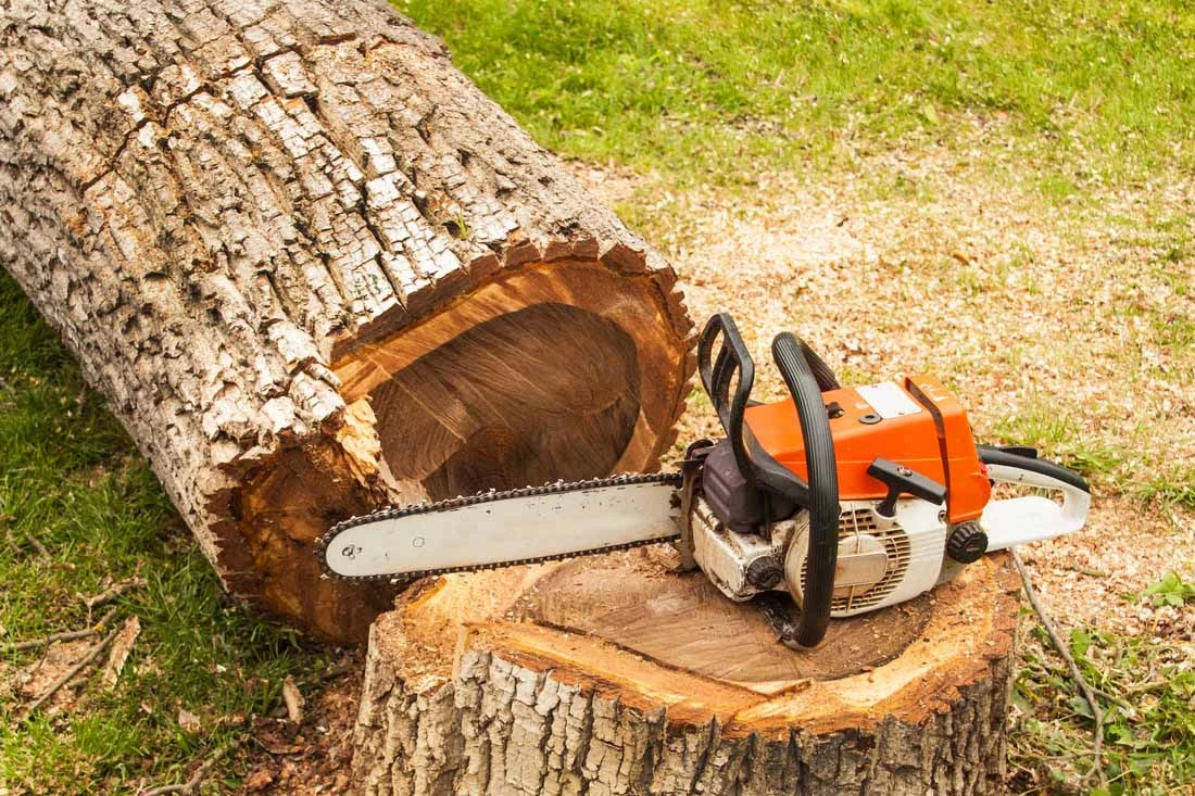 ALBY Tree service in Hiram, GA