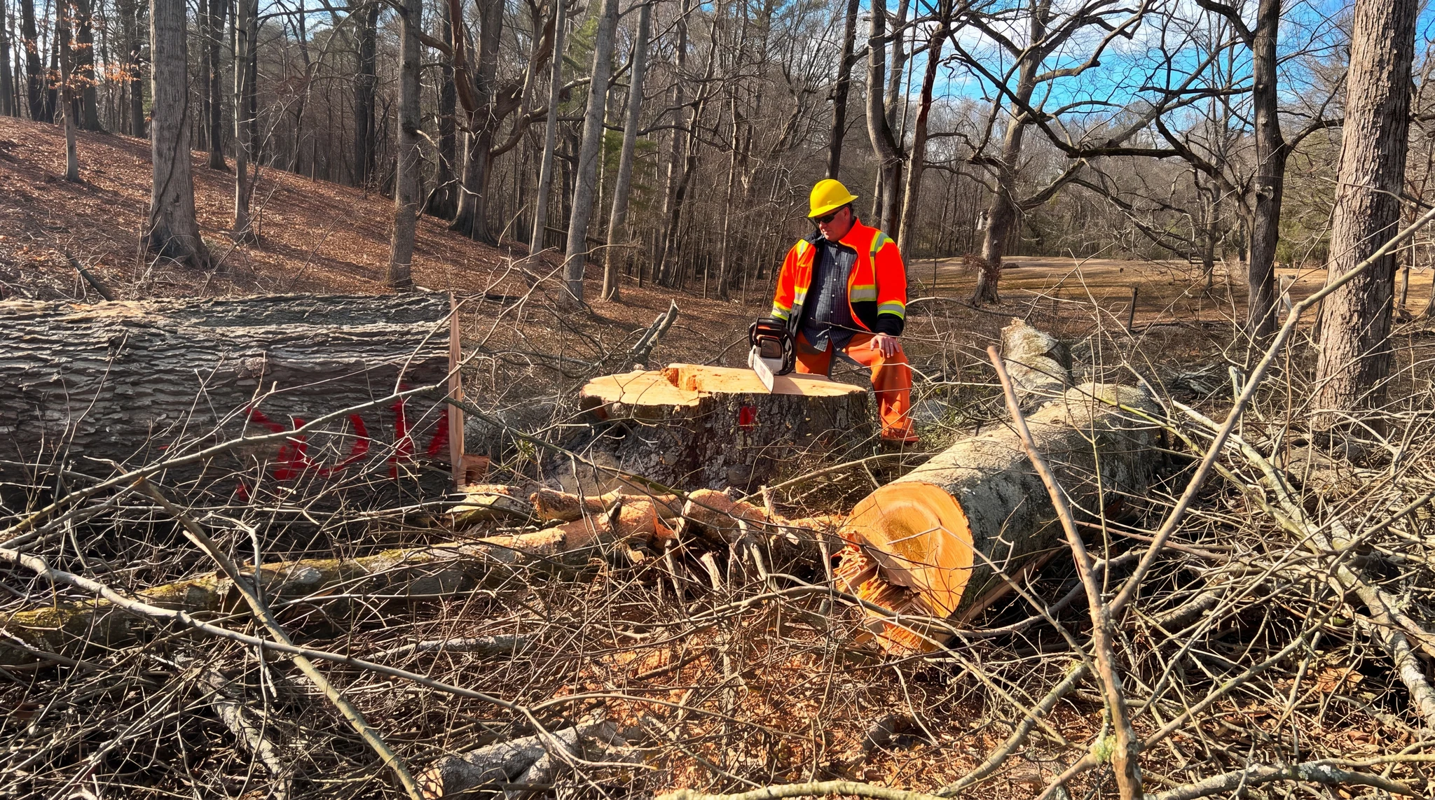Tree Removal in Newnan, GA by ALBY Tree Service LLC