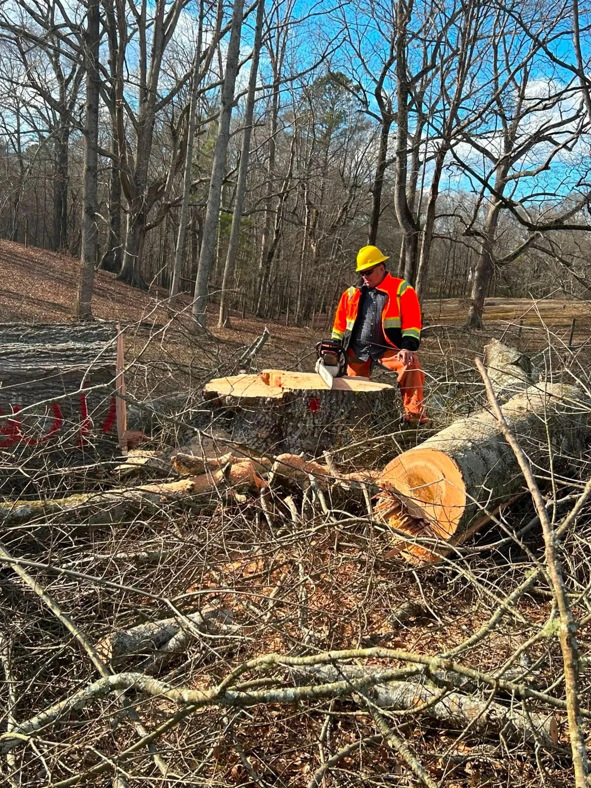 ALBY Tree Service project 3